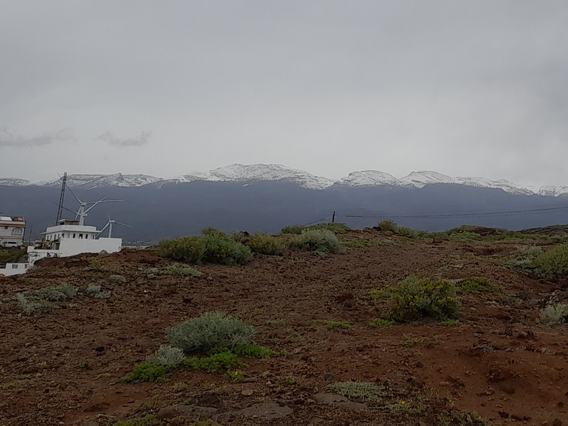 Sne på toppen af Teide